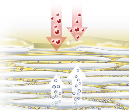 Illustration of natural moisture factors evaporating out through the skin